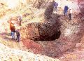 Thumbnail for version as of 20:50, 22 June 2022