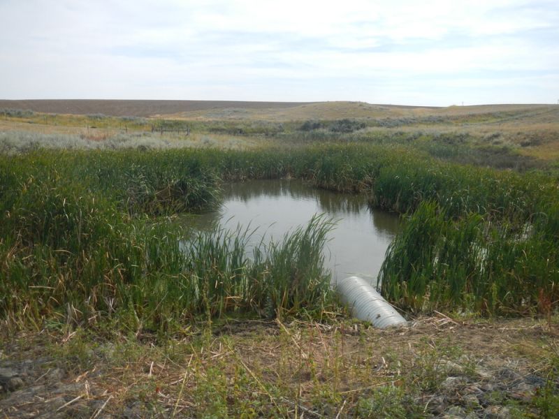 File:DCC6.jpg